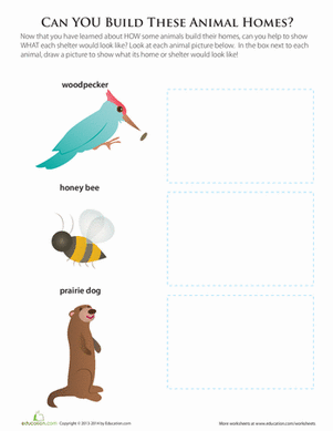 Animal Houses