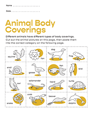 Animal Body Coverings