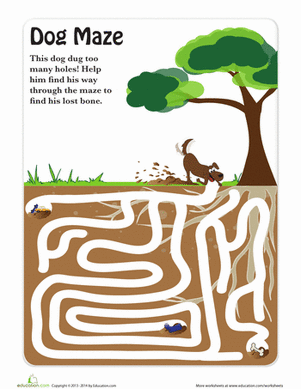 Find the Bone!