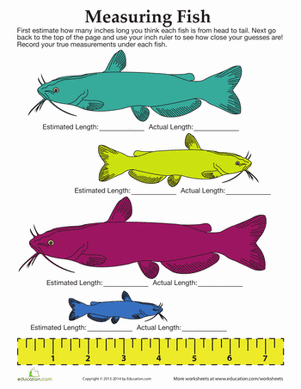 Measuring Fish