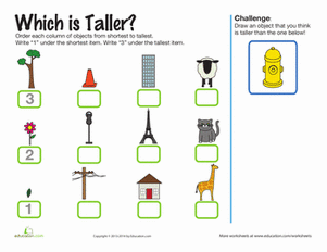 Which is Taller?