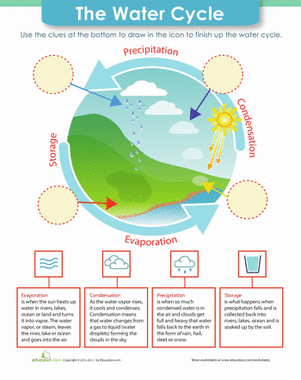 The Water Cycle