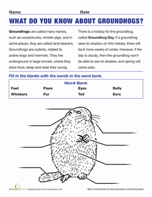 Groundhog