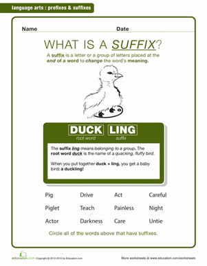 What Is a Suffix?