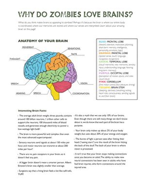 Parts of the Brain: Why Do Zombies Love Brains?