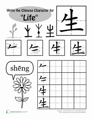 Learning Chinese Characters: