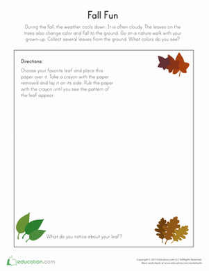 Fall Fun