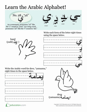 Arabic Alphabet: Yā'