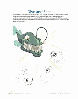 Angler Fish by Joe McInnis