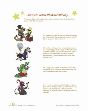 Animal Pairs