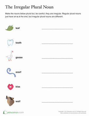 Irregular Plural Words