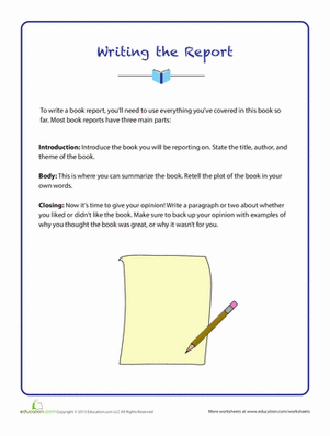 Writing the Report