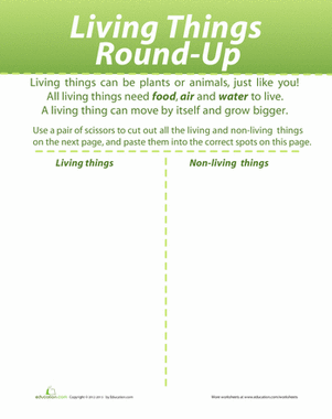 Living and Non-Living Things