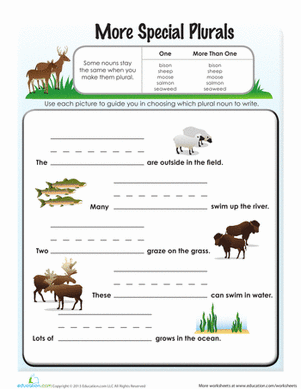 Irregular Plural Nouns