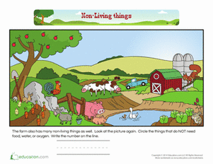 Counting: Non-Living Things on a Farm