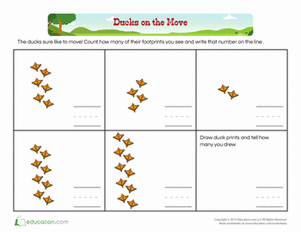 Counting: Ducks on the Move