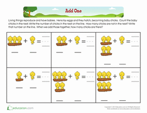 Adding 1: Baby Chicks