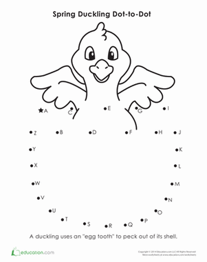 Spring Dot to Dot