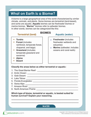 What Is a Biome?