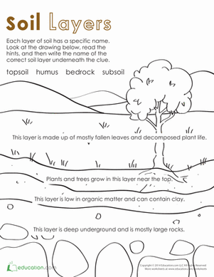 Layers of Soil: Get the Dirt!