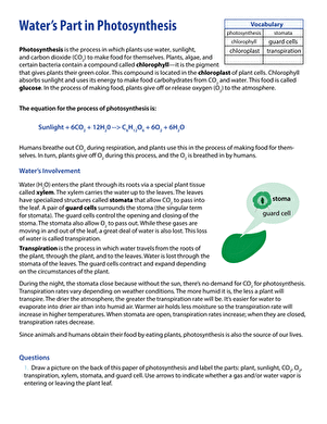 Water and Photosynthesis