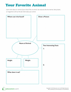 Animal Research Graphic Organizer