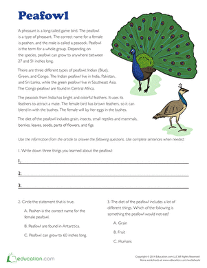 Peafowl Facts