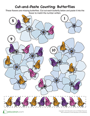 Cut-and-Paste Counting: Butterflies