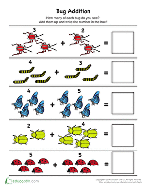 Bug Picture Addition