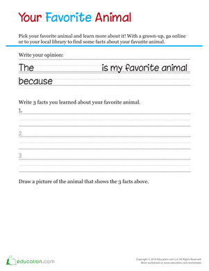 Your Favorite Animal