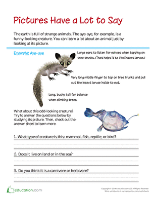 Pictures Have a Lot to Say