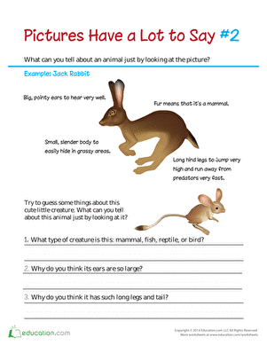 Pictures Have a Lot to Say: Big Ears