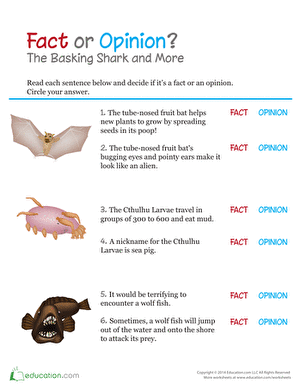 Fact or Opinion: The Basking Shark and More