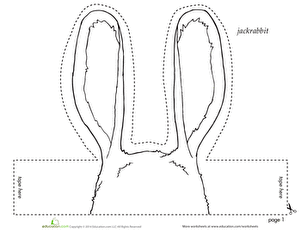 Jackrabbit Headband