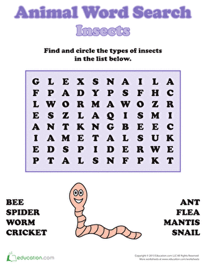 Insects Word Search