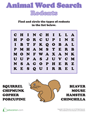 Rodents Word Search