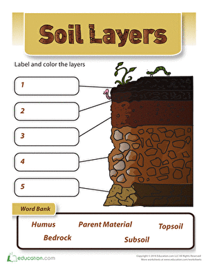 Soil Layers