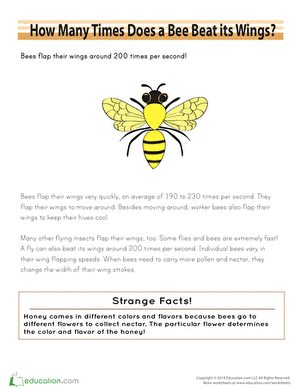 Bee Sudoku
