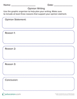 Opinions and Reasons Organizer