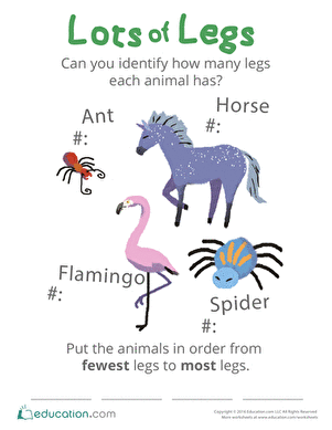Lots of Legs: Practicing Counting